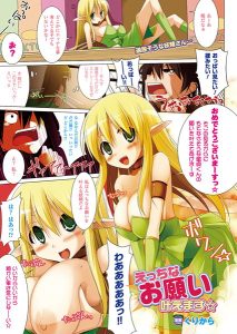 えっちなお願い叶えます☆【単話】